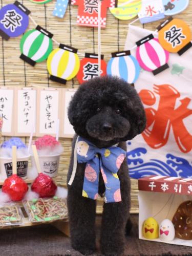 20240706ラブくん